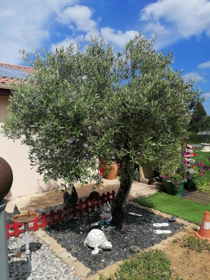Bed and Breakfast La Roulotte Des Trois Arbres Oradour-sur-Glane Esterno foto