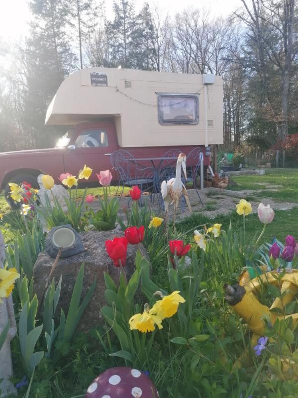 Bed and Breakfast La Roulotte Des Trois Arbres Oradour-sur-Glane Esterno foto